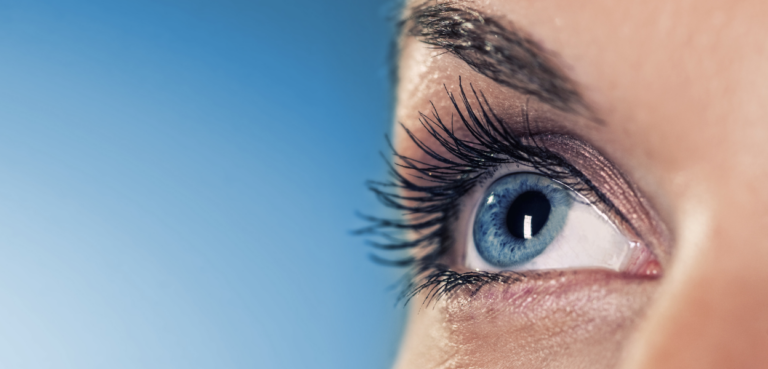 Close-Up Of Lifted, Defined Natural Lashes Showcasing Results From Yumi Lash Lift Treatment For Enhanced Length And Curl